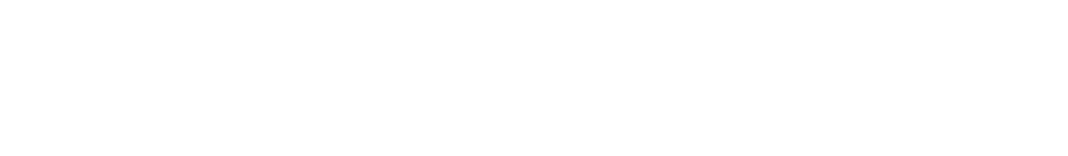 North Wave logotipas